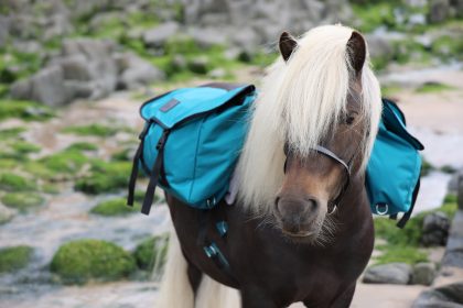 Pony Pack saddle Set